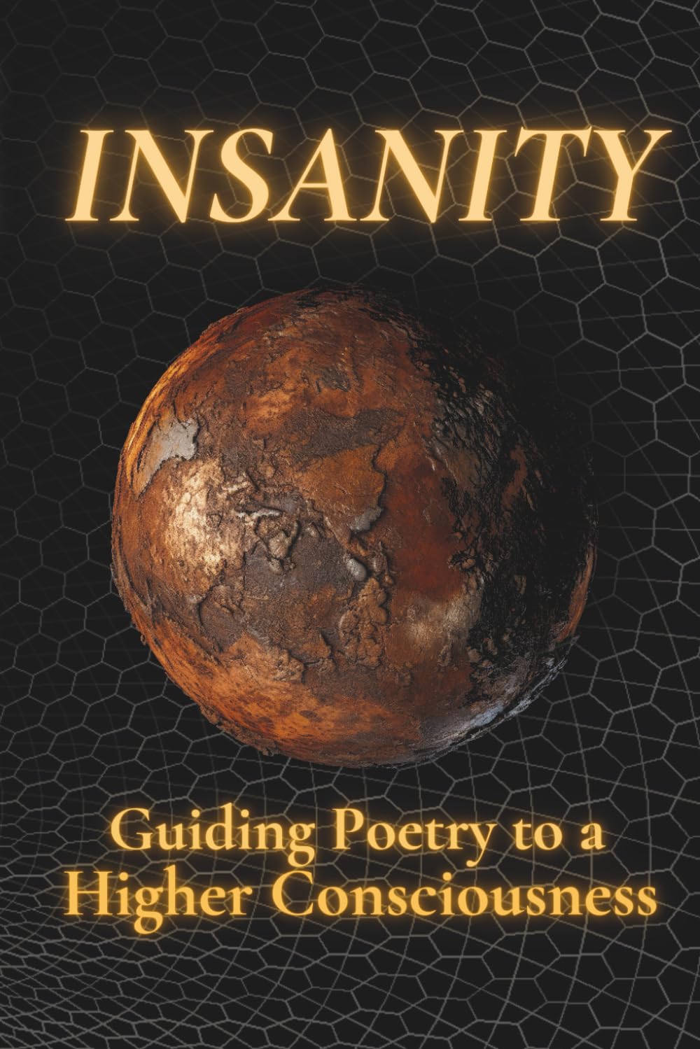 Insanity: Guiding Poetry to a Higher Consciousness Poetry