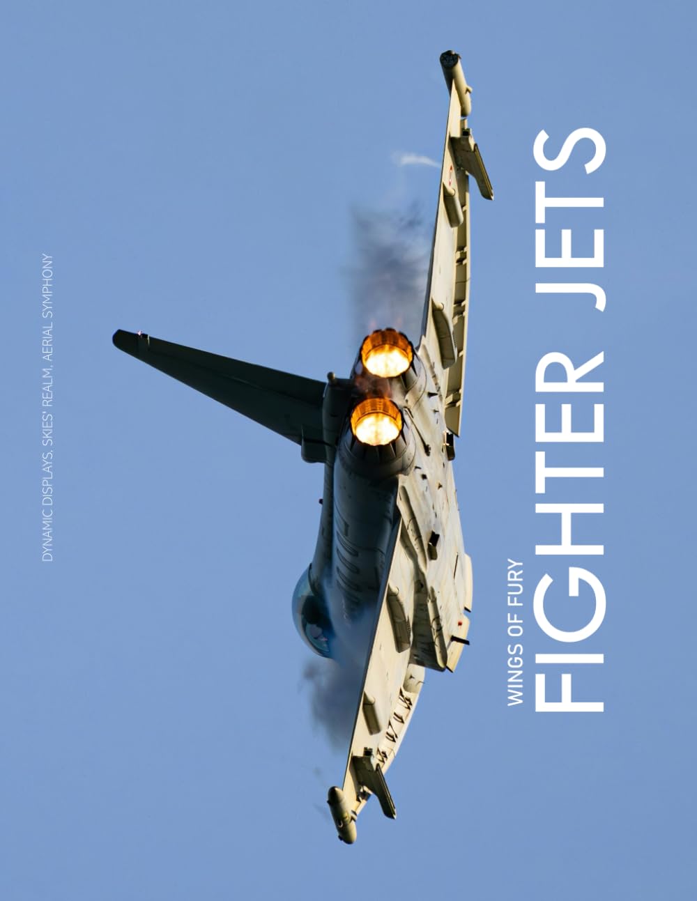 "Wings Of Fury" Fighter Jets: A Gift Book for aviation Lovers - Coffee Table Picture Book.... Relaxing & Meditation. book
