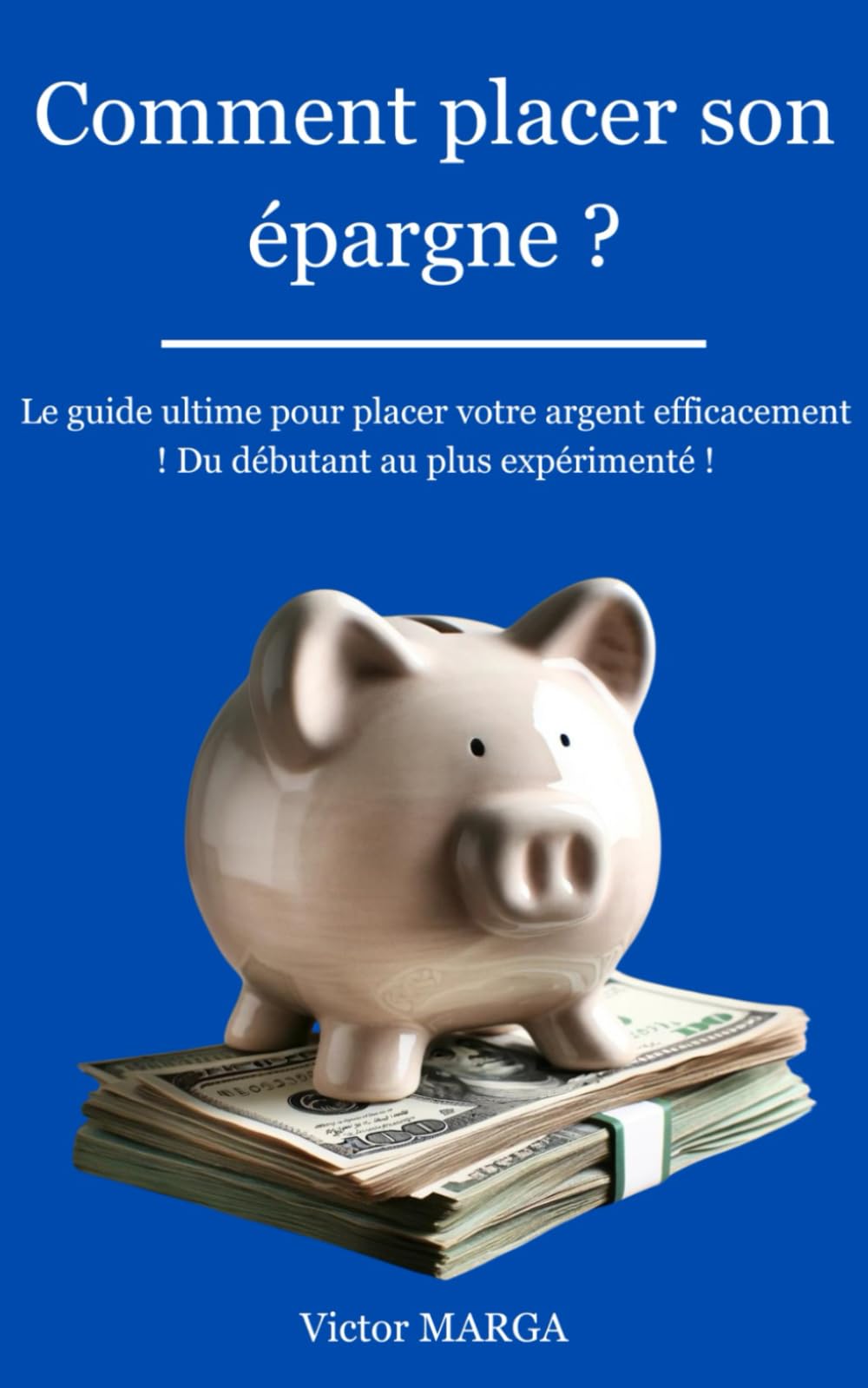 Comment placer son épargne ?: Le guide ultime pour placer votre épargne efficacement ! Du débutant au plus expérimenté ! book