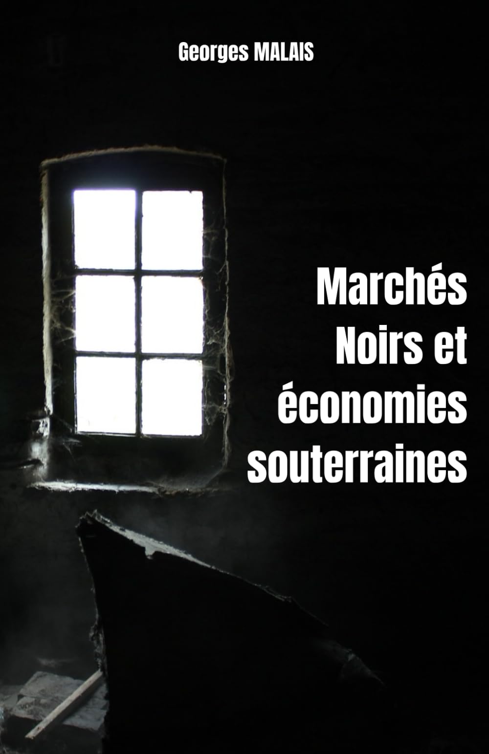 Marchés noirs et économies souterraines book