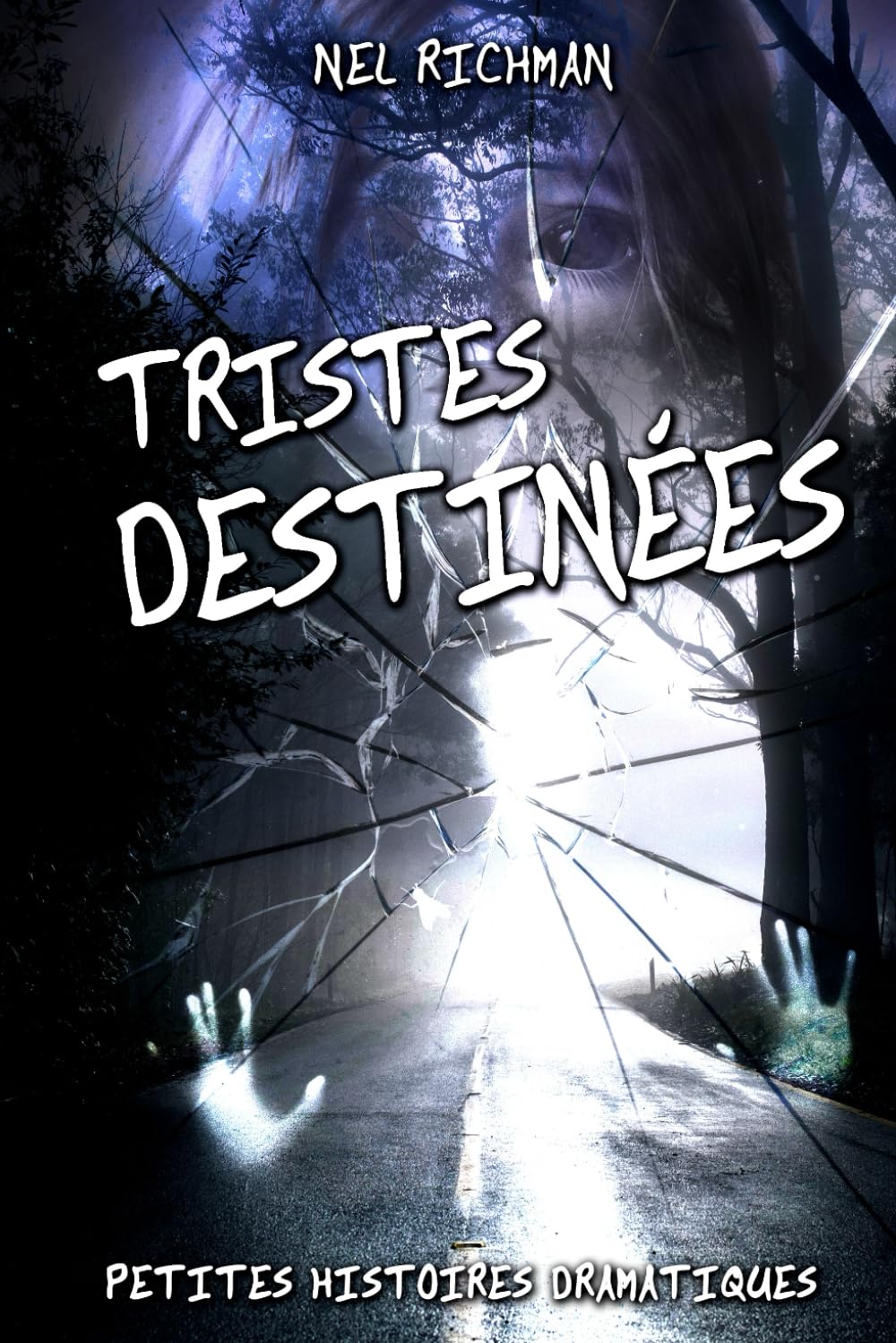Tristes Destinées: Petites histoires dramatiques book