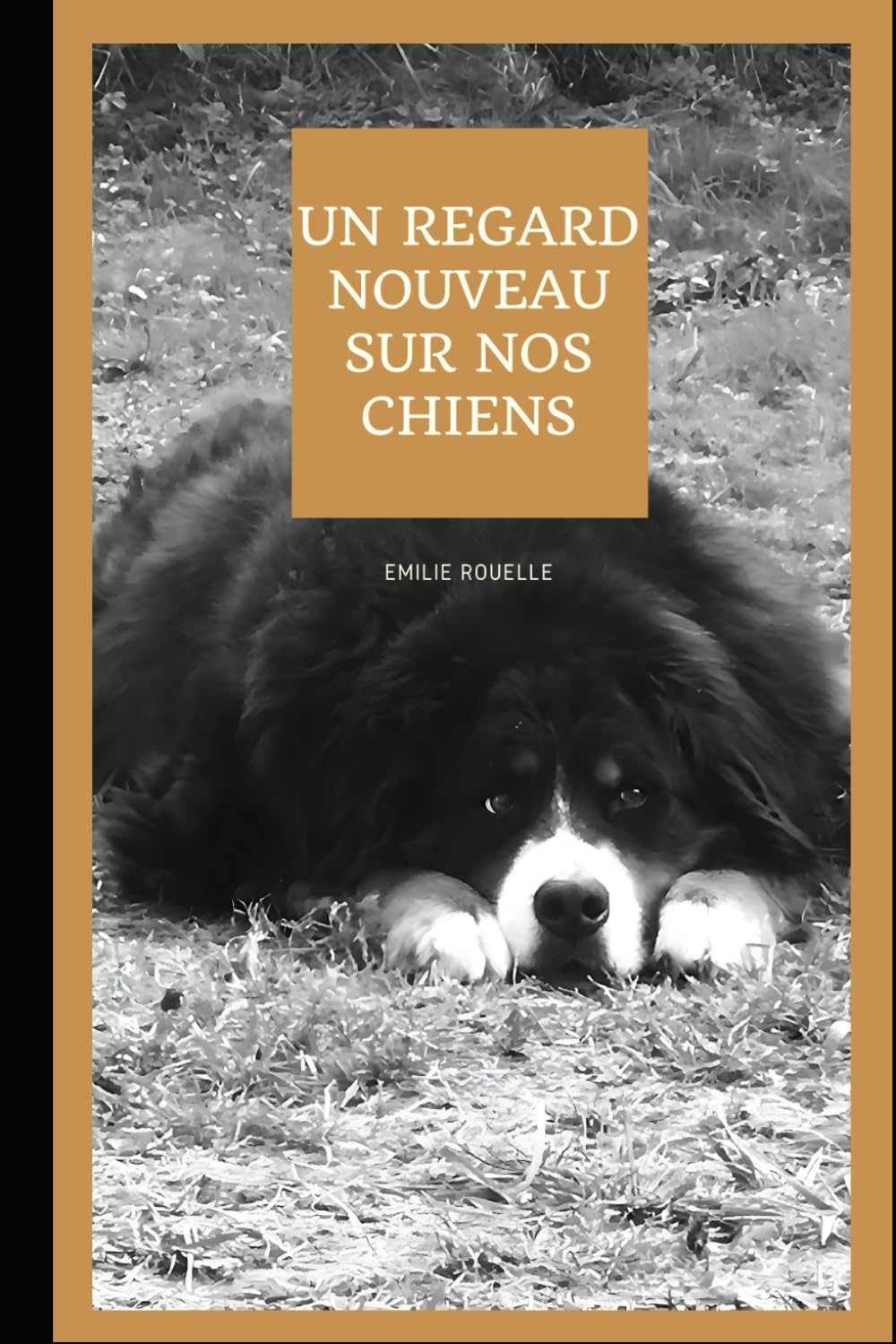 Un regard nouveau sur nos chiens Mathematics