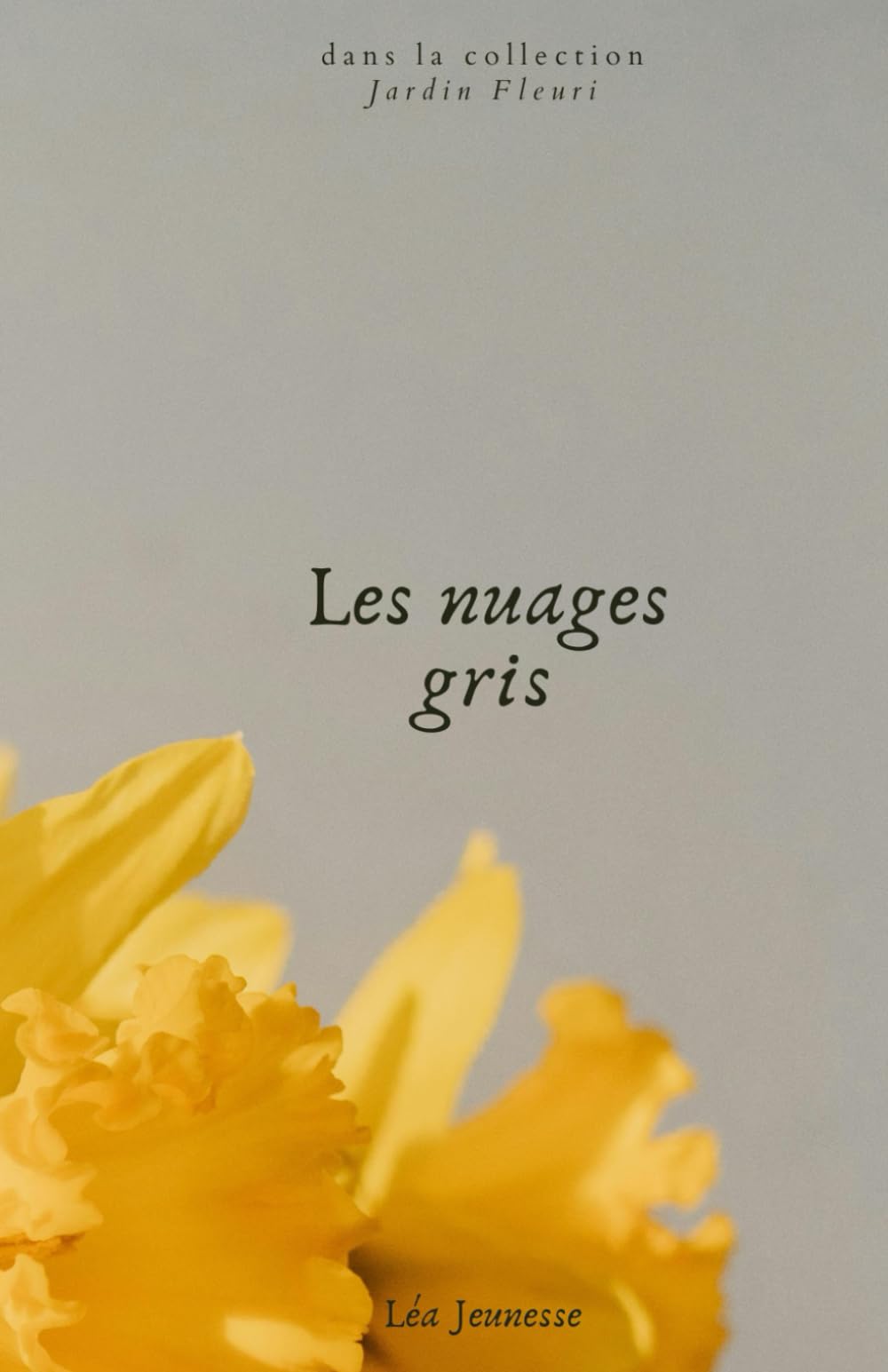 Product Image: Les nuages gris