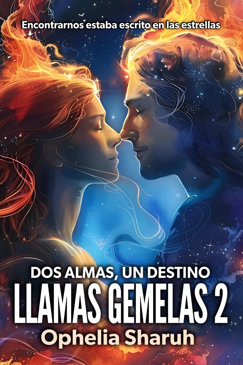 Llamas Gemelas 2: Dos Almas, un Destino book