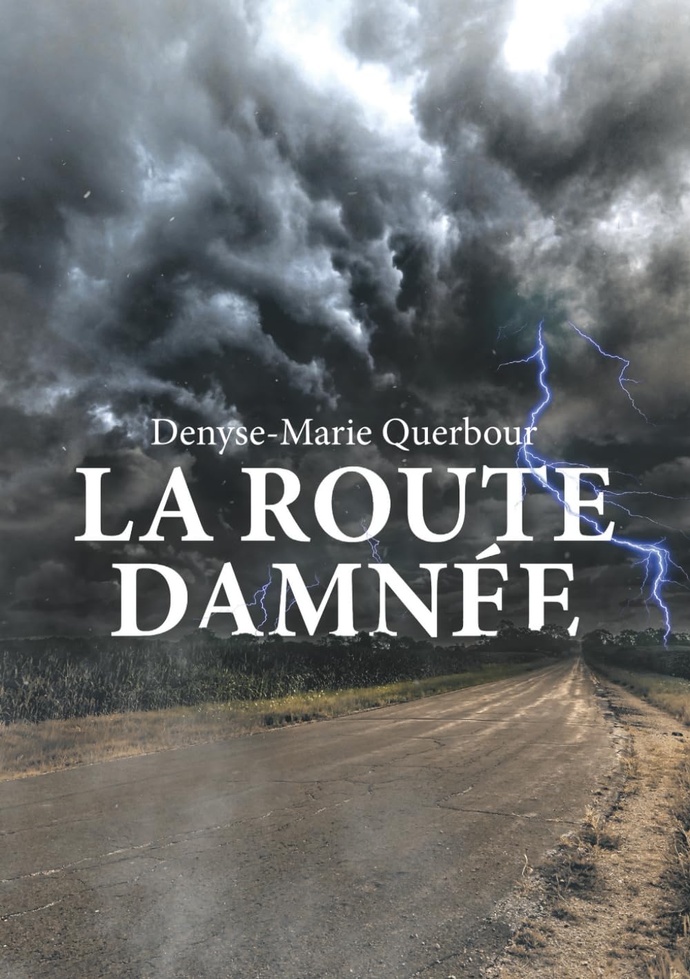 La Route damnée: les contes du XXIe siècle book