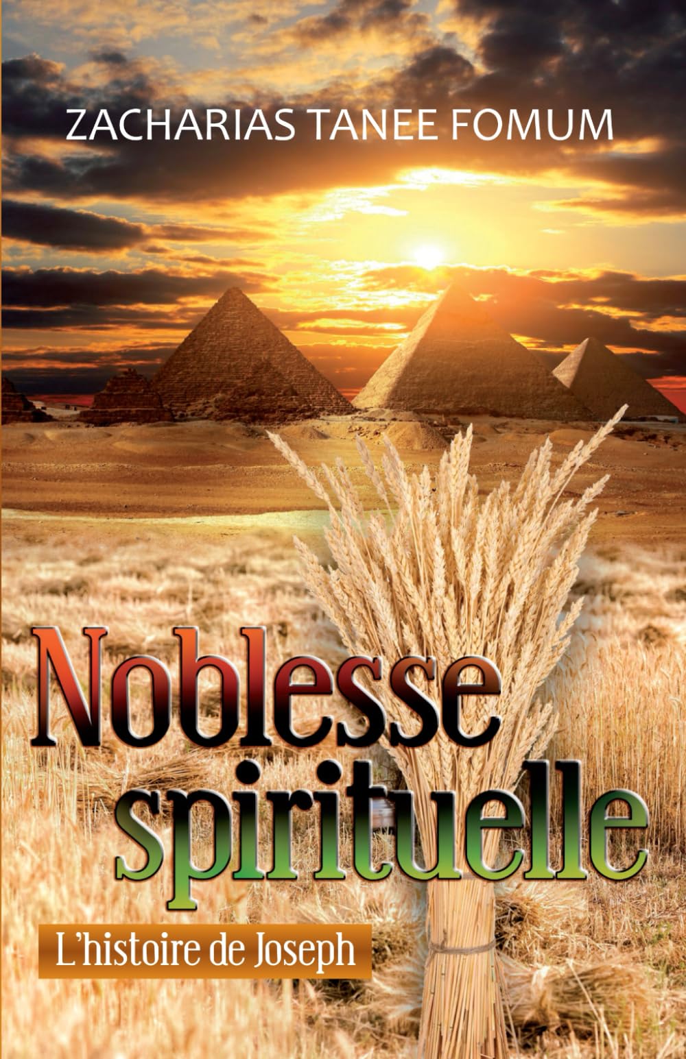 La noblesse spirituelle: L’histoire de Joseph book