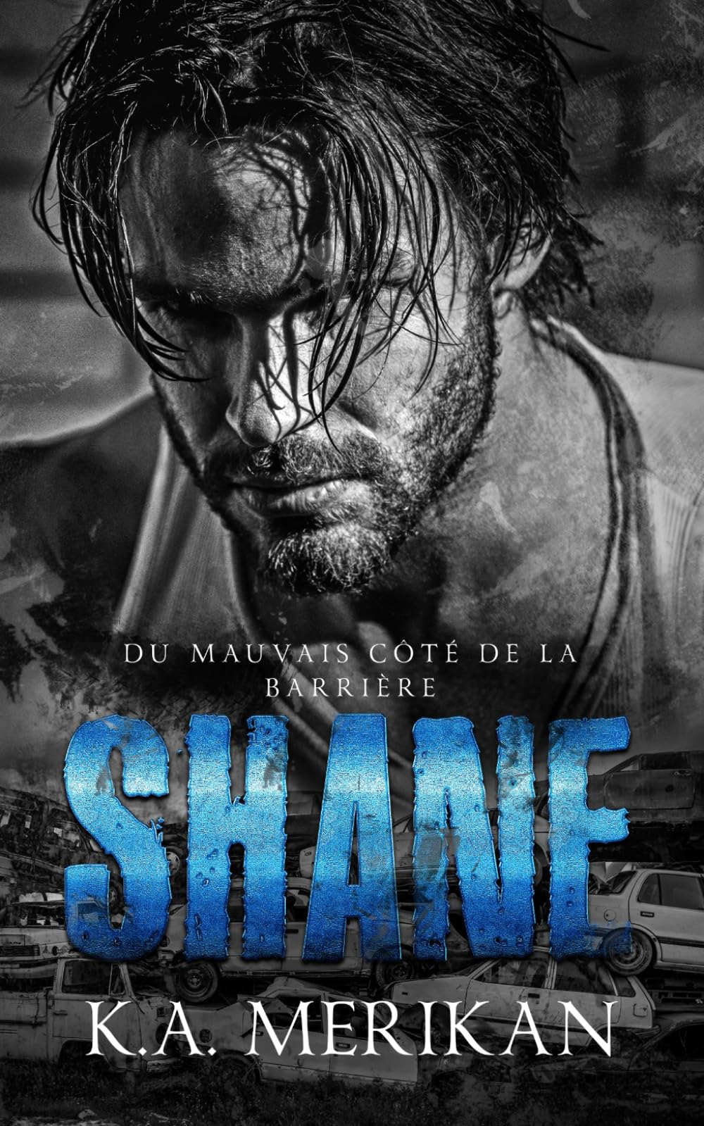 SHANE: gay romance (Du mauvais côté de la barrière, Band 1) Eroticism
