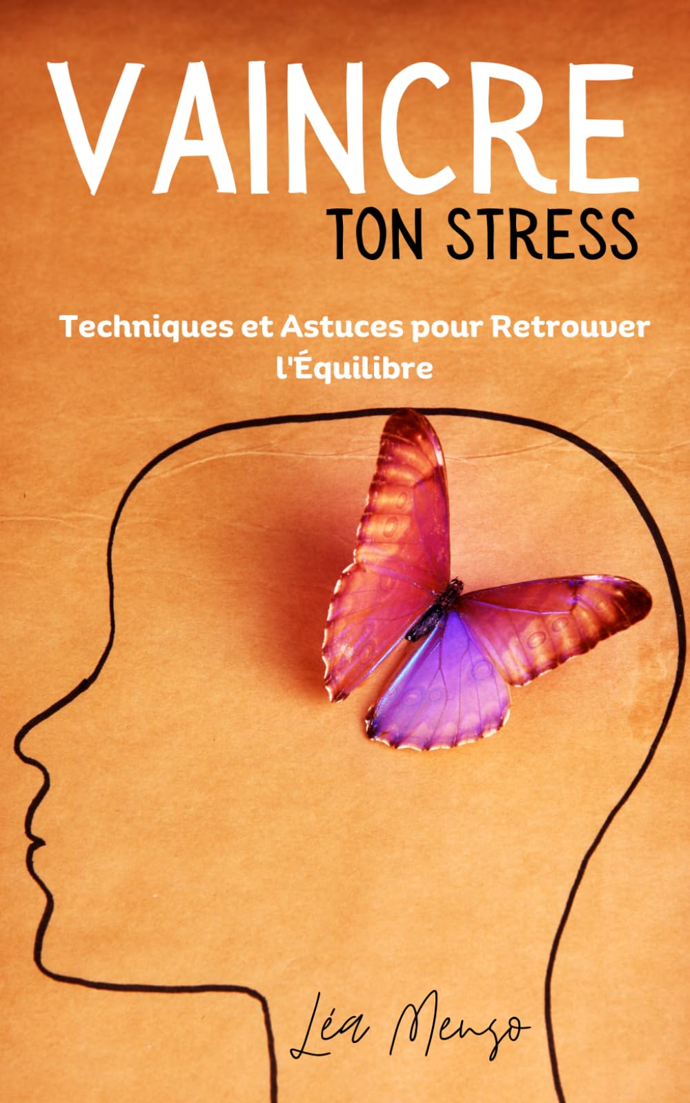 VAINCRE TON STRESS : TECHNIQUES ET ASTUCES POUR RETROUVER L'ÉQUILIBRE book