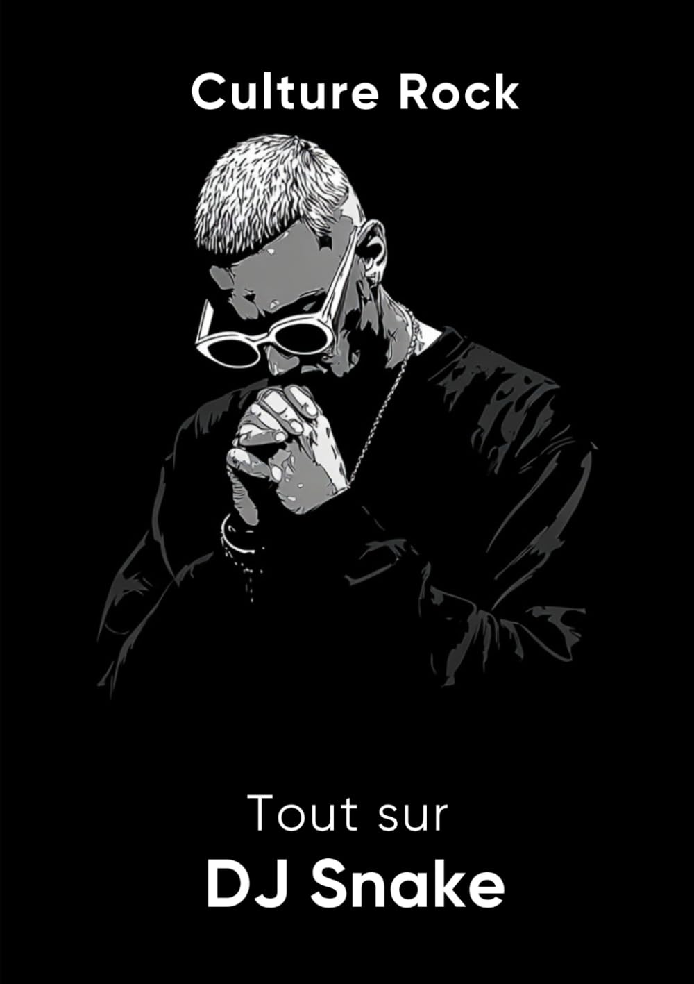 Tout sur DJ Snake book