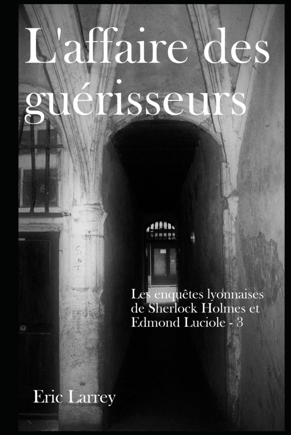 L'affaire des guérisseurs: Les enquêtes lyonnaises de Sherlock Holmes et Edmond Luciole #3 book