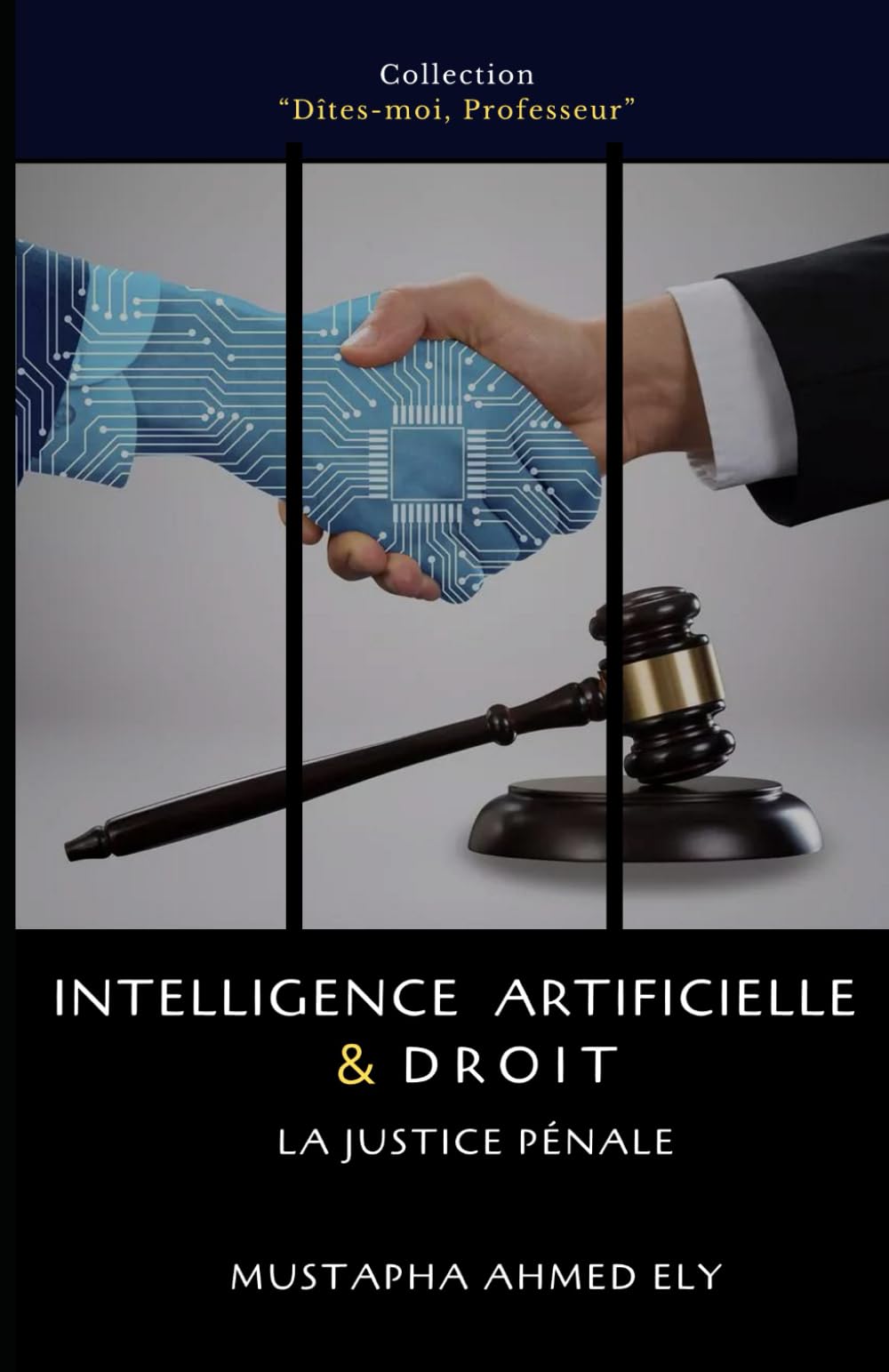 Intelligence artificielle et Droit: La Justice pénale book