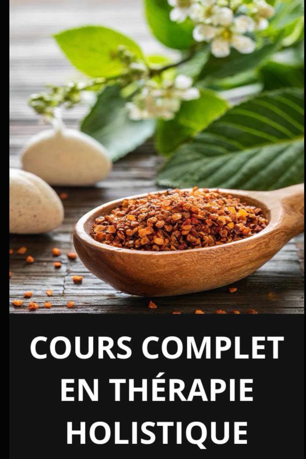 COURS COMPLET EN THÉRAPIE HOLISTIQUE book