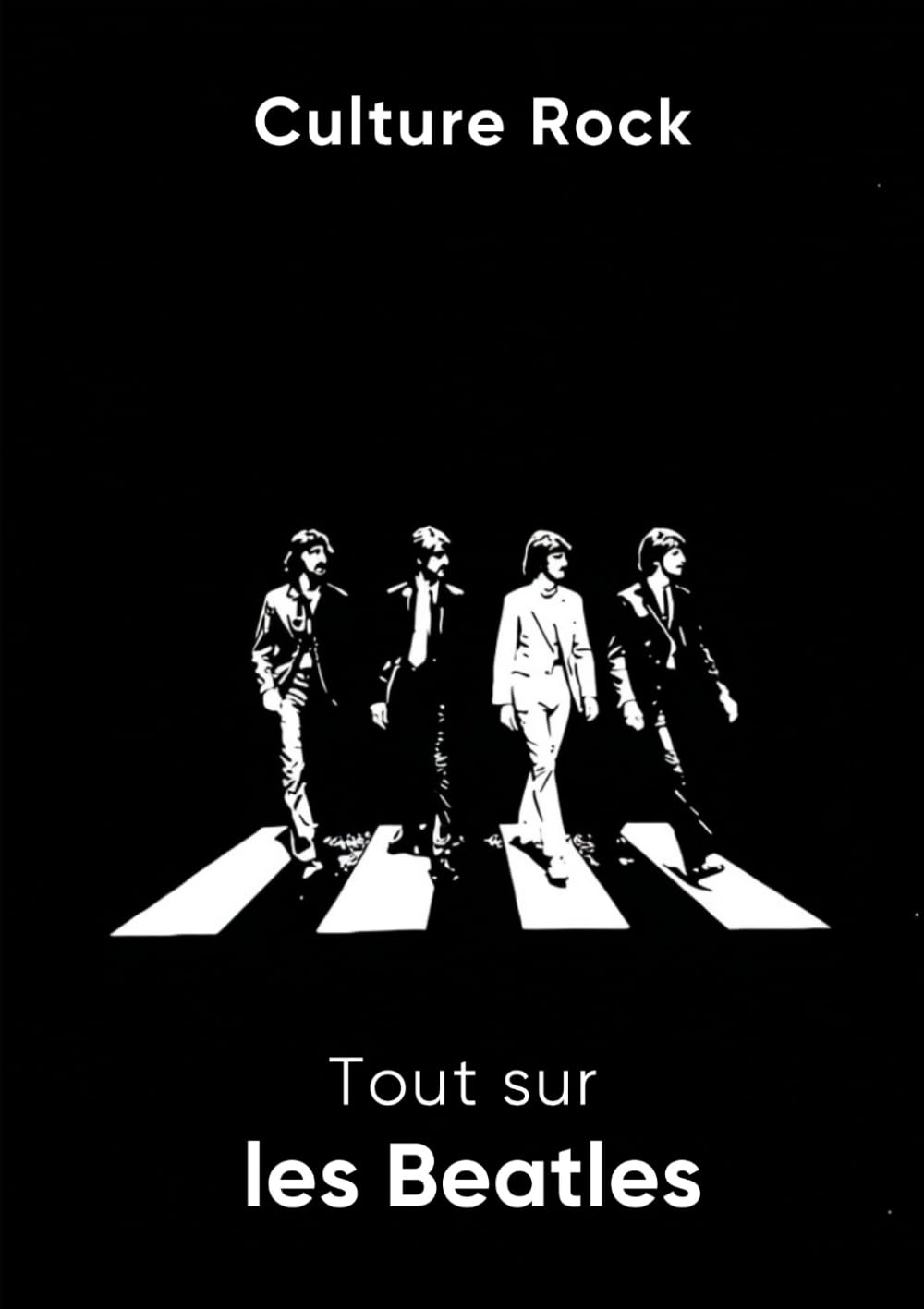 Tout sur les Beatles book