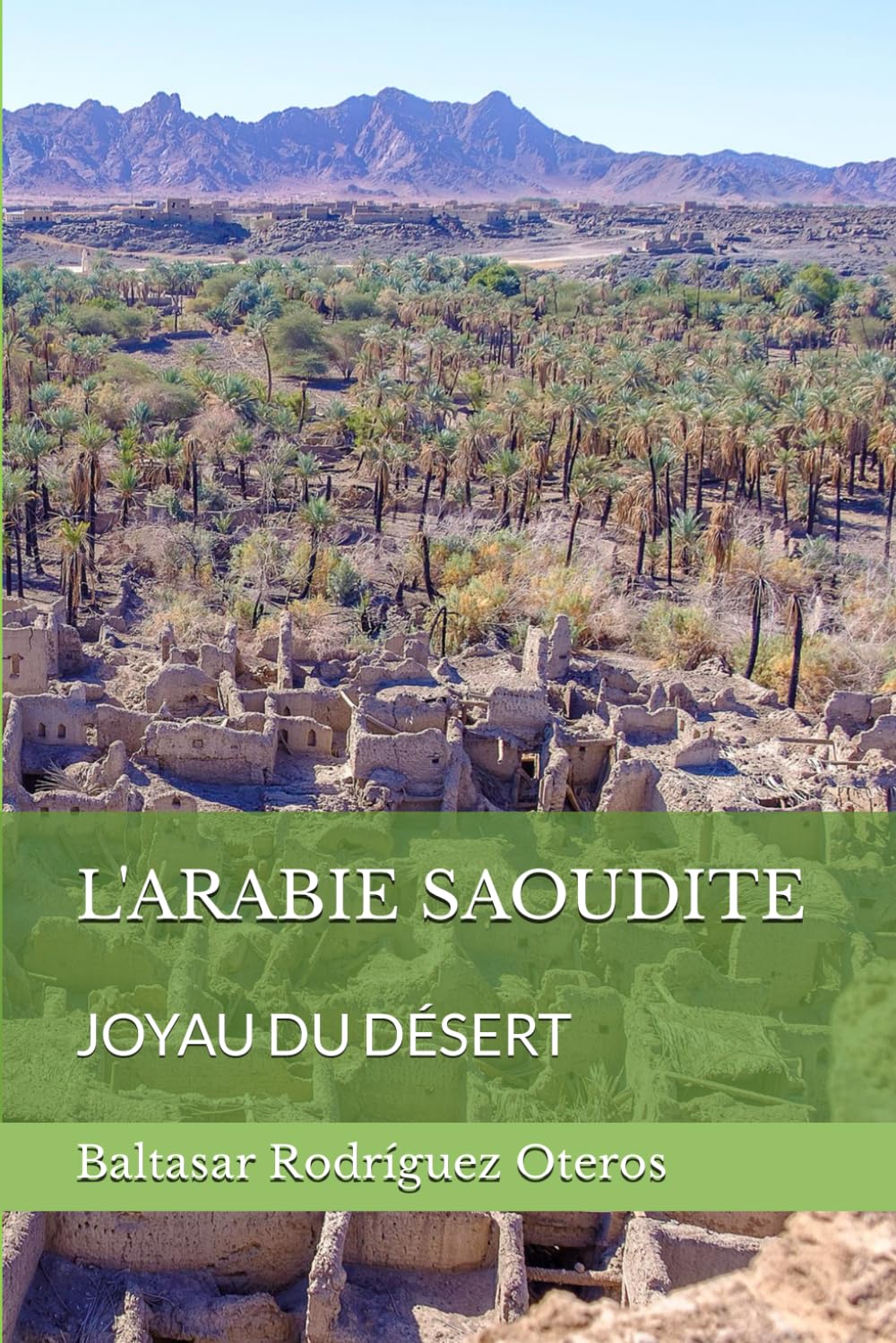 L'ARABIE SAOUDITE: JOYAU DU DÉSERT book