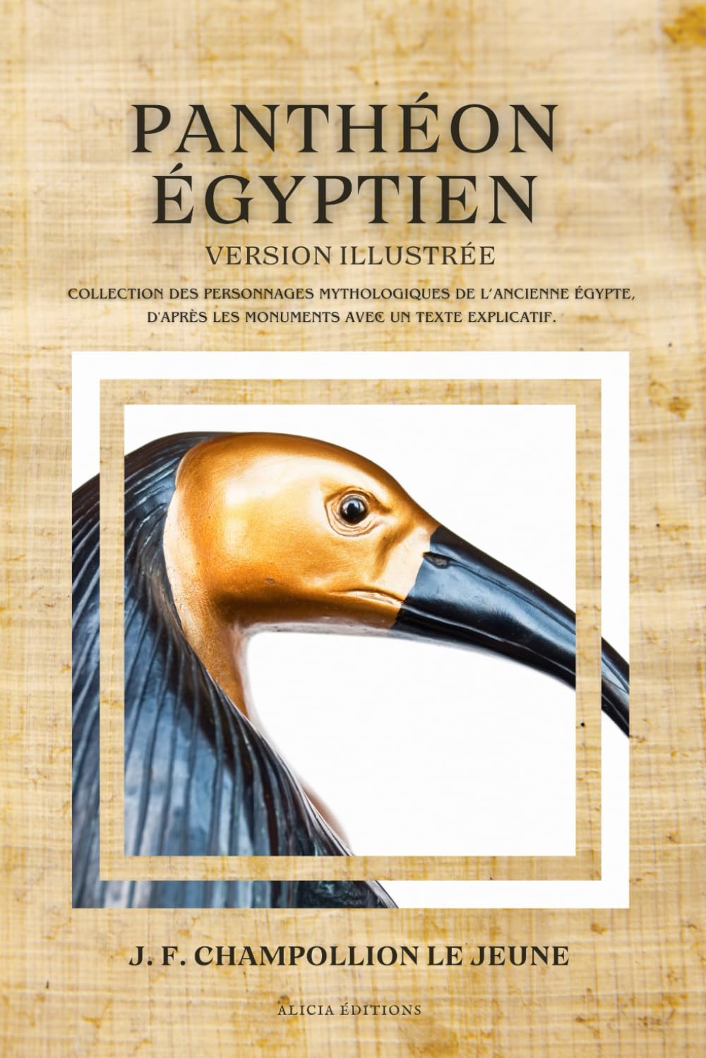 Panthéon égyptien: Collection des personnages mythologiques de l'ancienne Égypte, d'après les monuments avec un texte explicatif. Version illustrée. book