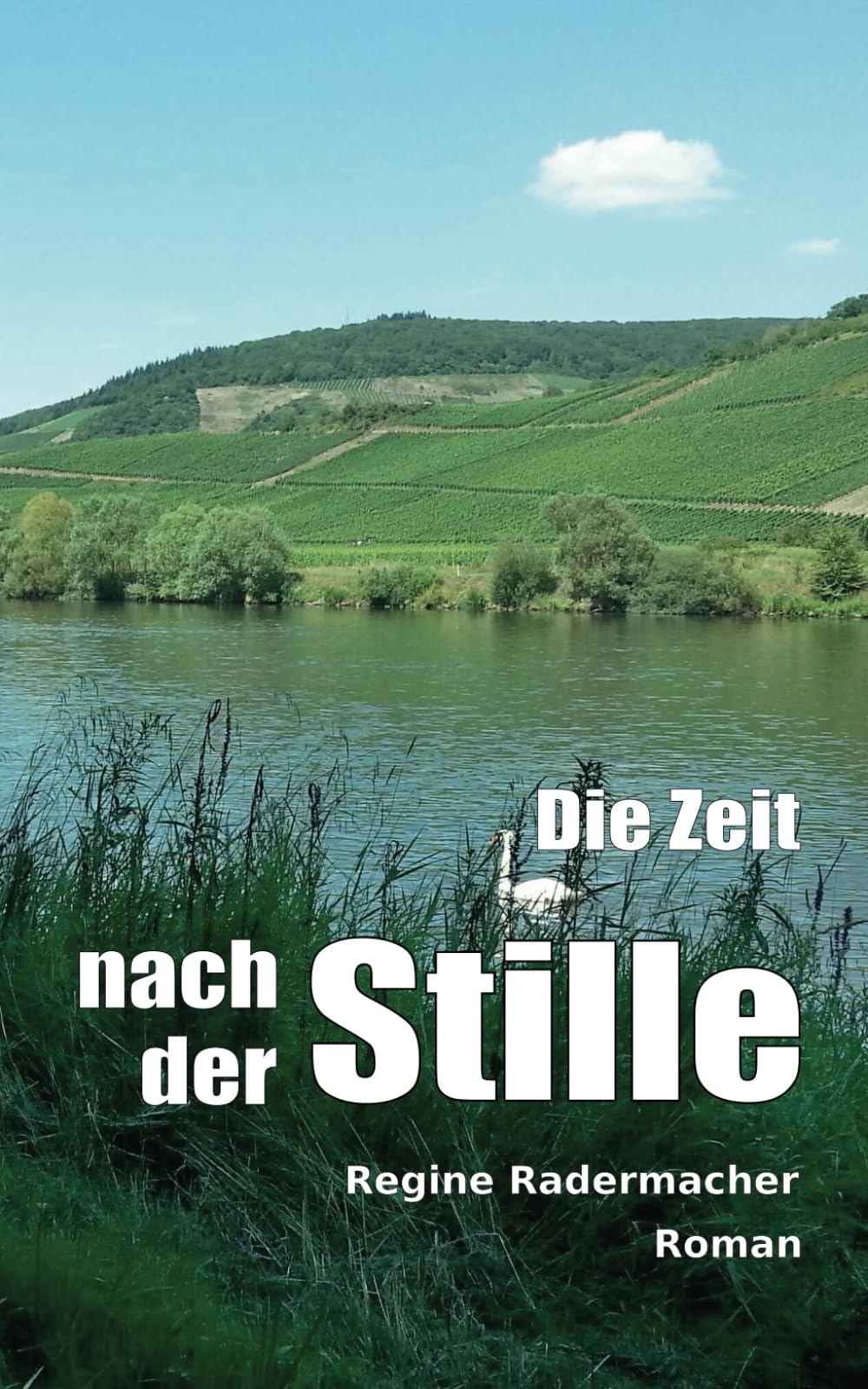 Die Zeit nach der Stille book
