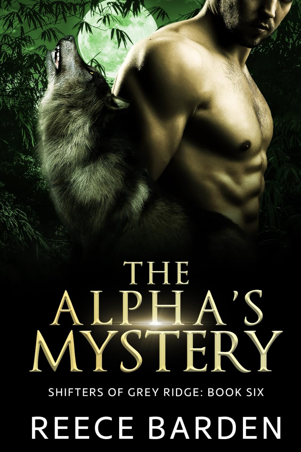 The Alpha's Mystery: A Shifter Romance (Shifters of Grey Ridge, Band 8) Detective & CSI