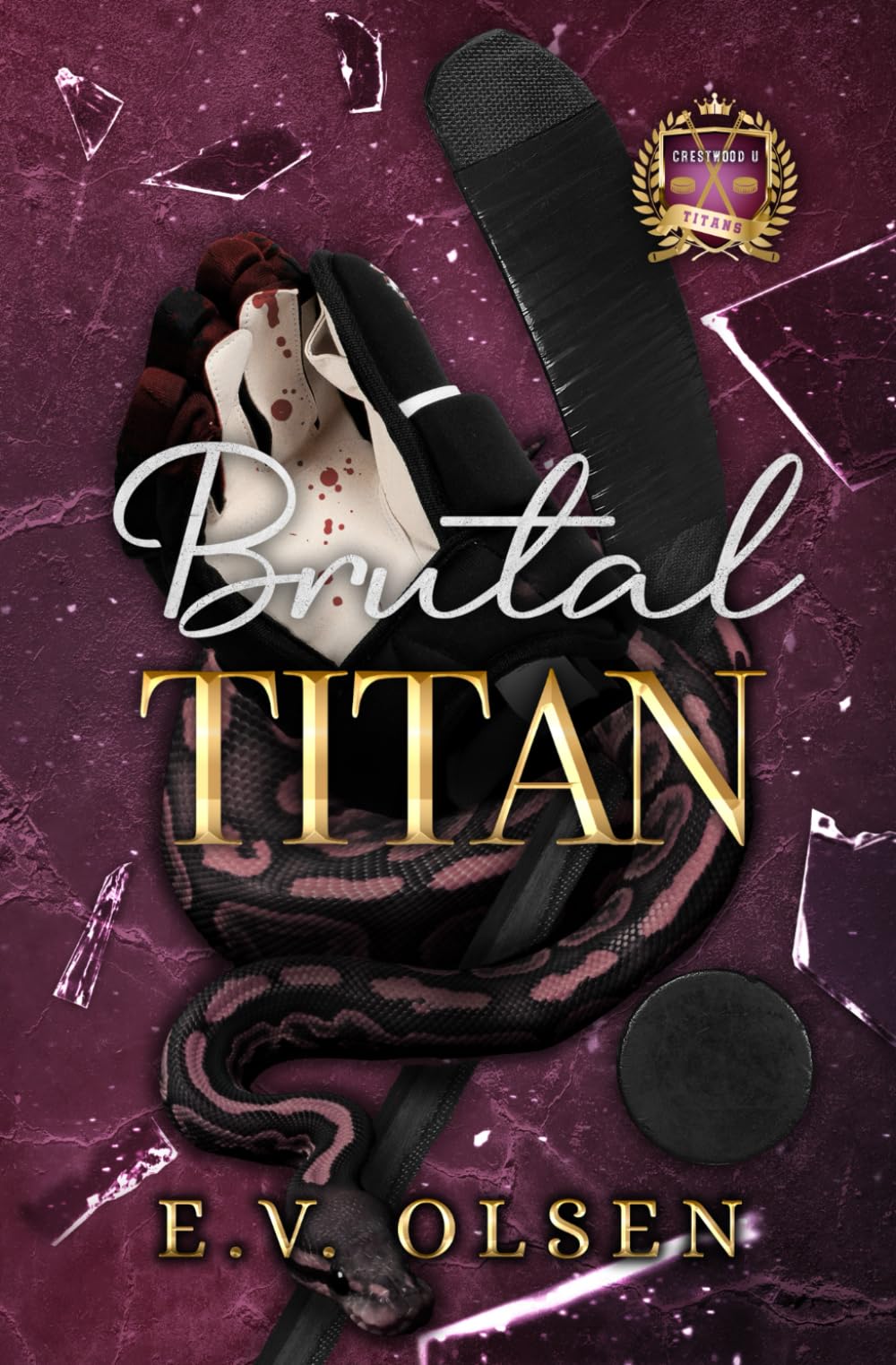 Brutal Titan: A Rivals to Lovers MM College Hockey Romance (North Shore Titans Hockey, Band 2) Eroticism