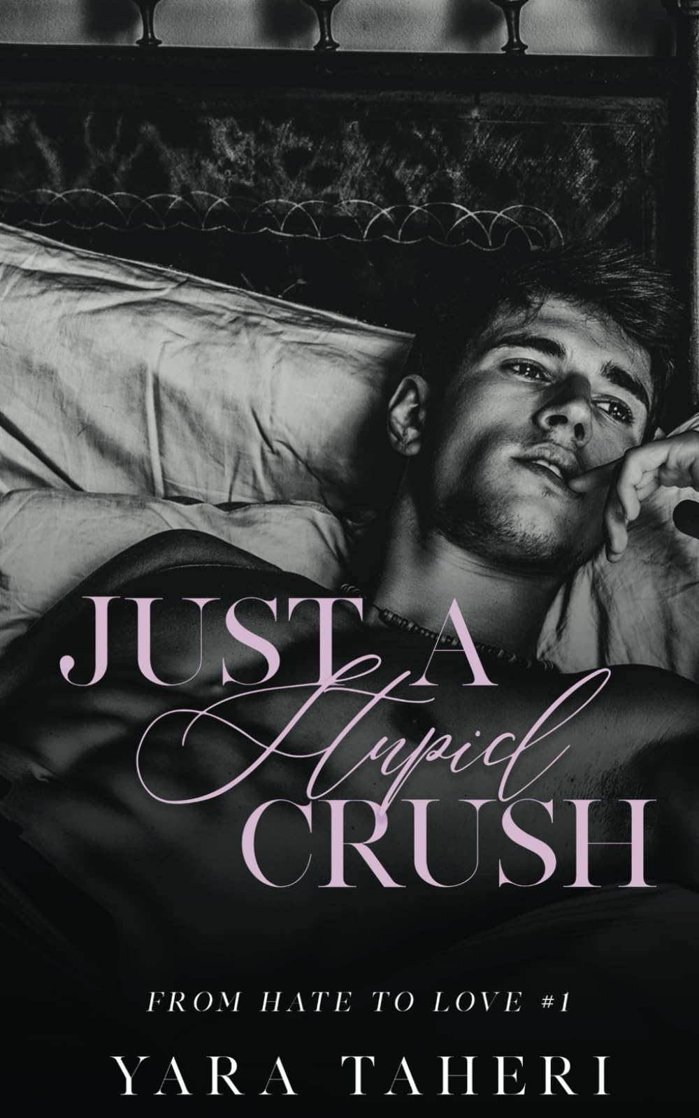 Just A Stupid Crush: Une romance New Adult (From Hate to Love, Band 1) Contemporary Romance