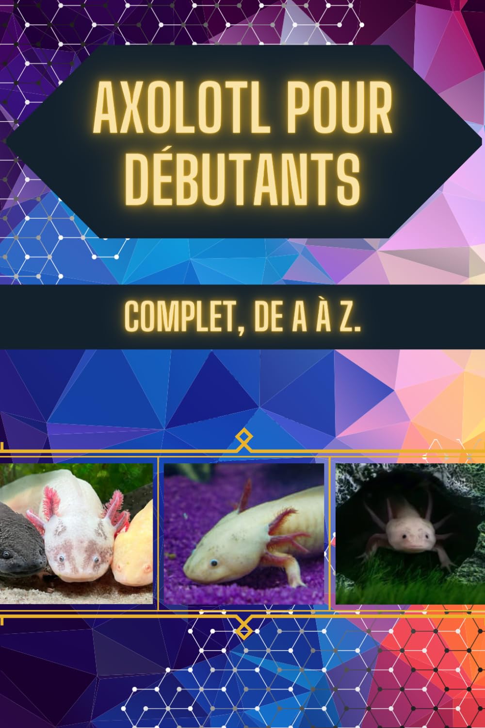 Axolotl pou Débutants: Mignon, mais pas pour tout le monde : avant de le laisser entrer chez vous, lisez ce guide. book