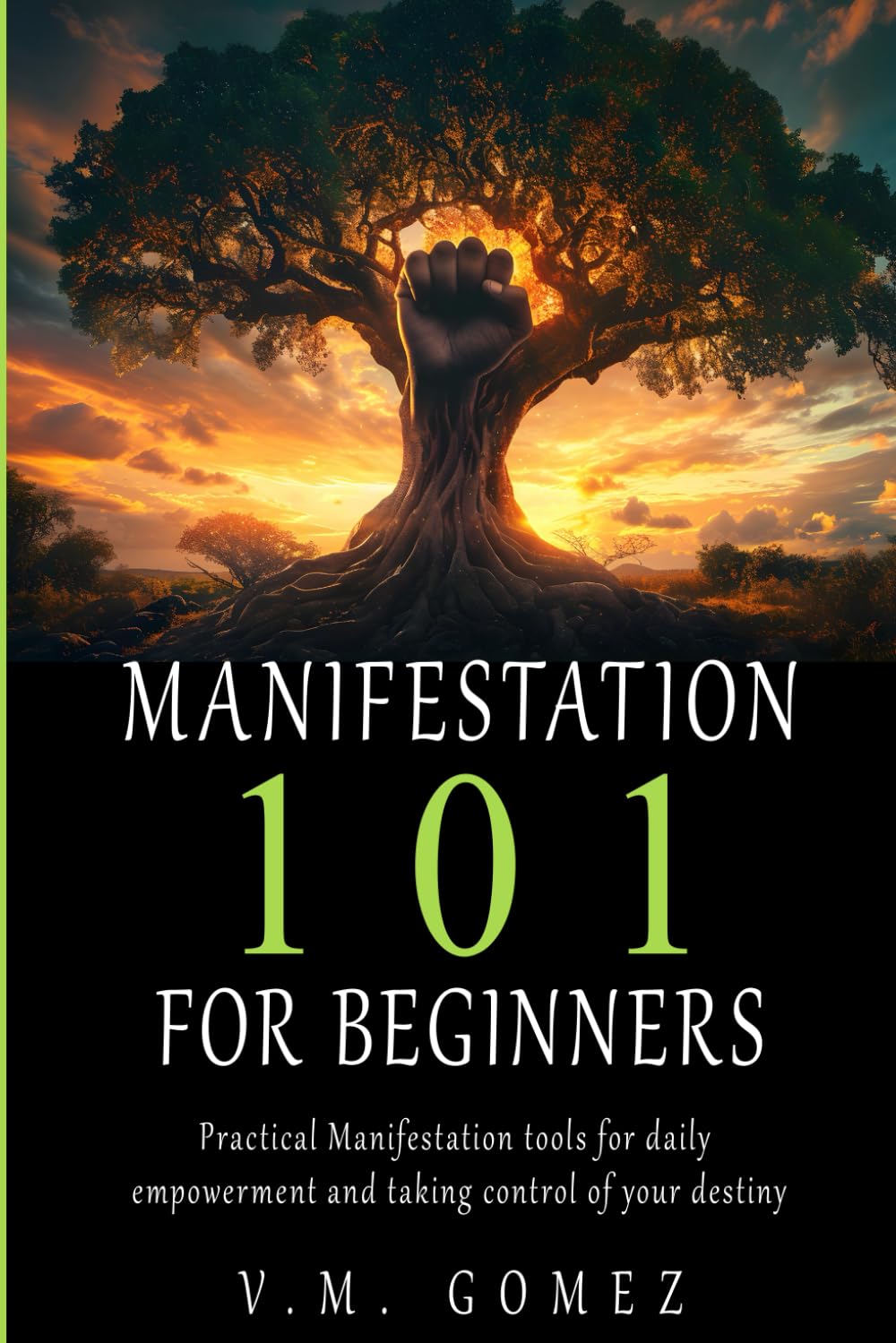 Manifestation 101 for Beginners: Practical Manifestation Tools for Daily Empowerment and taking control of your destiny Lifestyle