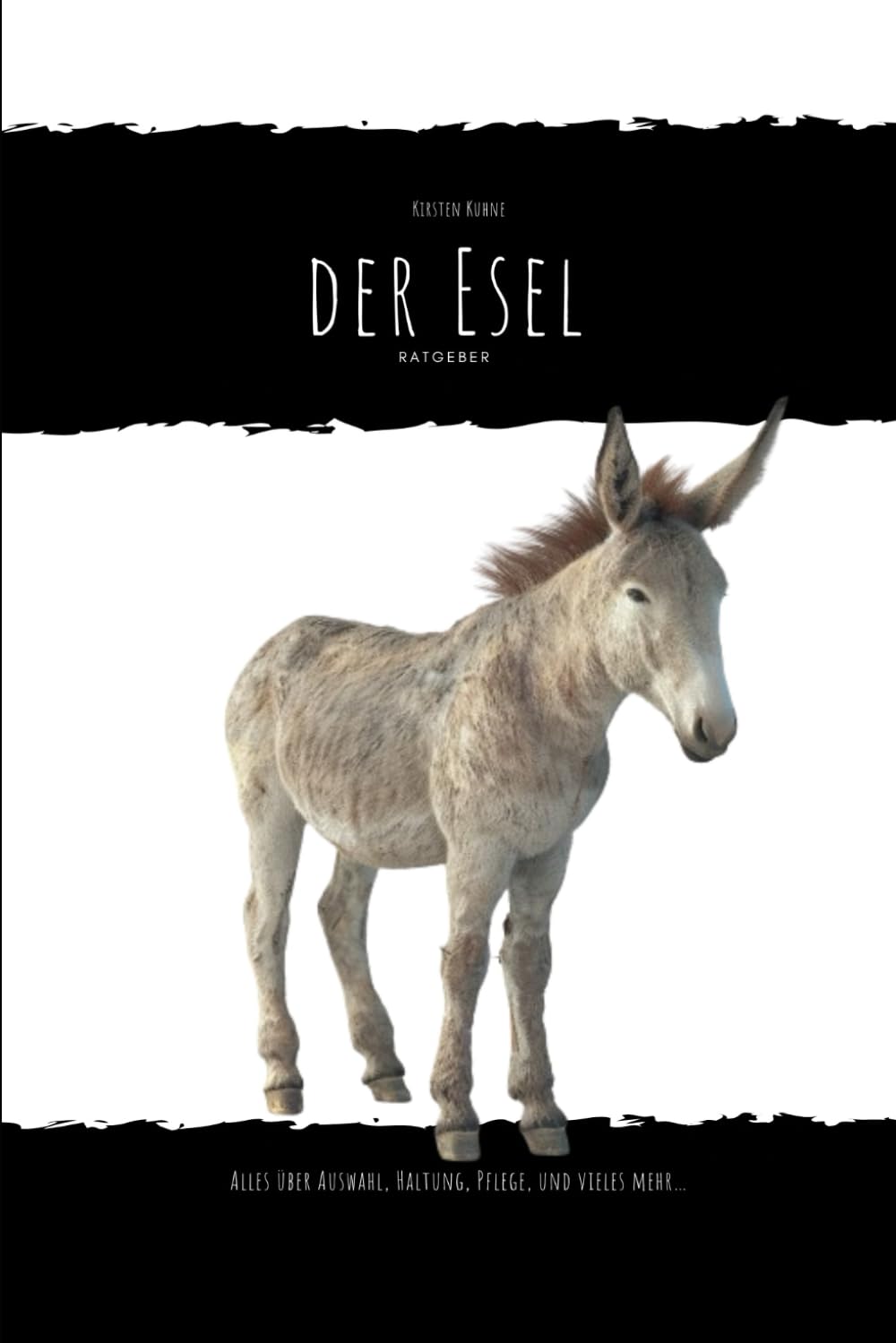 Der Esel: alles über Auswahl, Haltung, Pflege und vieles mehr... Pets