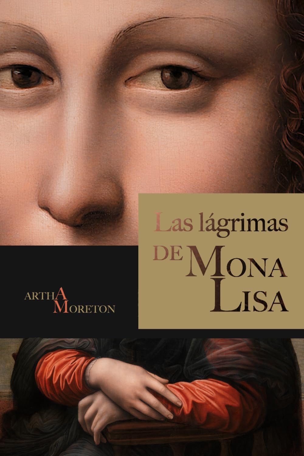 Las lágrimas de Mona Lisa: Una novela histórica ambientada en el Renacimiento italiano, que aborda la violencia doméstica. book