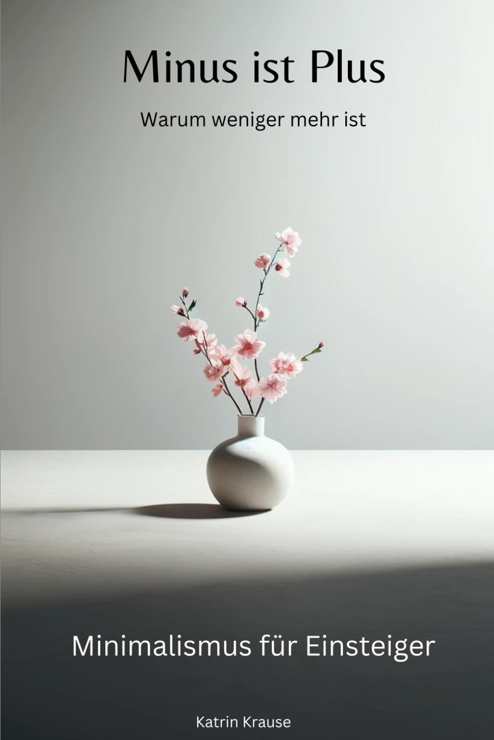 Minus ist Plus: Warum weniger mehr ist: Minimalismus für Einsteiger Business, Finance & Career