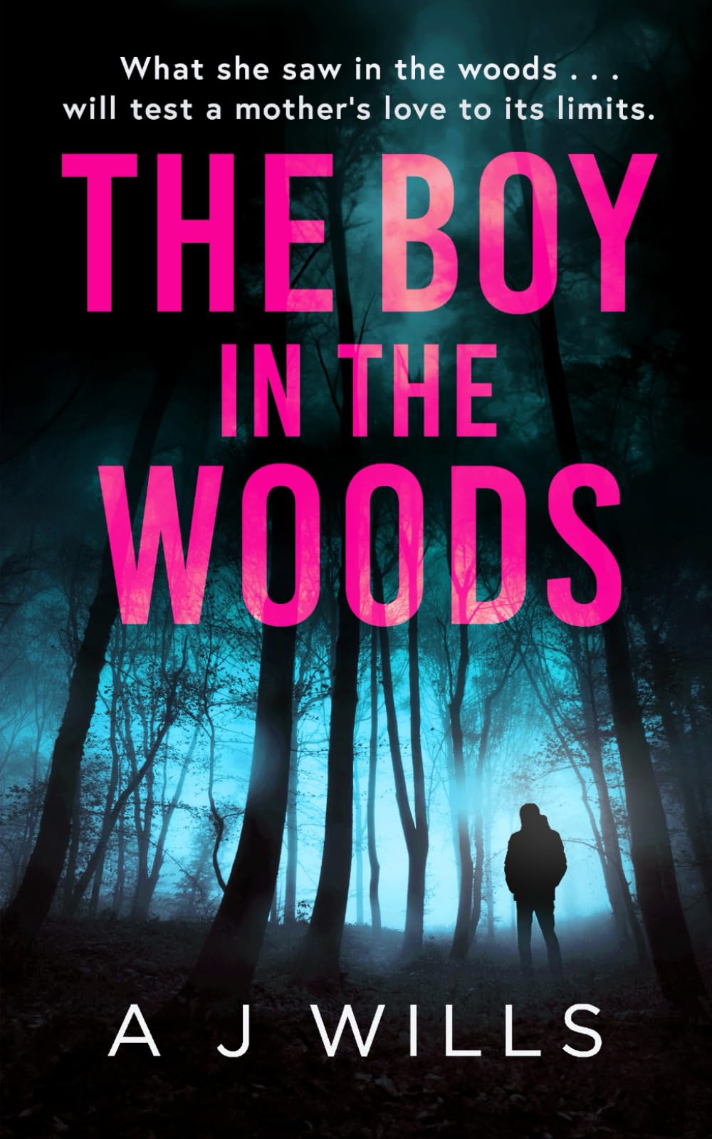 The Boy in the Woods Action & Adventure