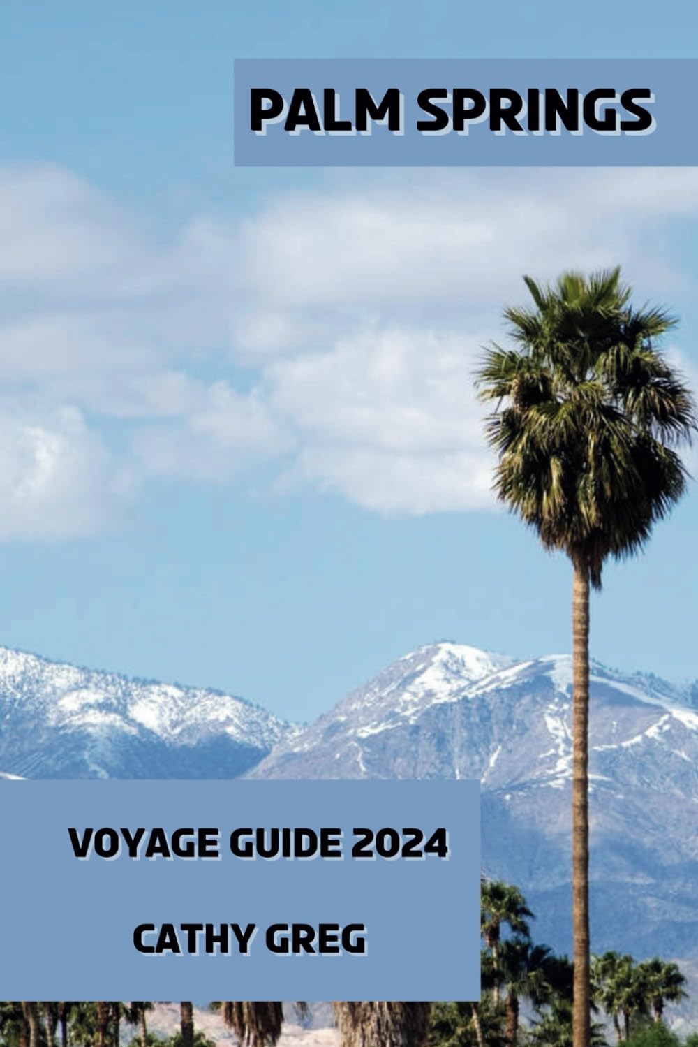 PALM SPRINGS VOYAGE GUIDE 2024: Offrez-vous Palm Springs : un guide du luxe et des loisirs book