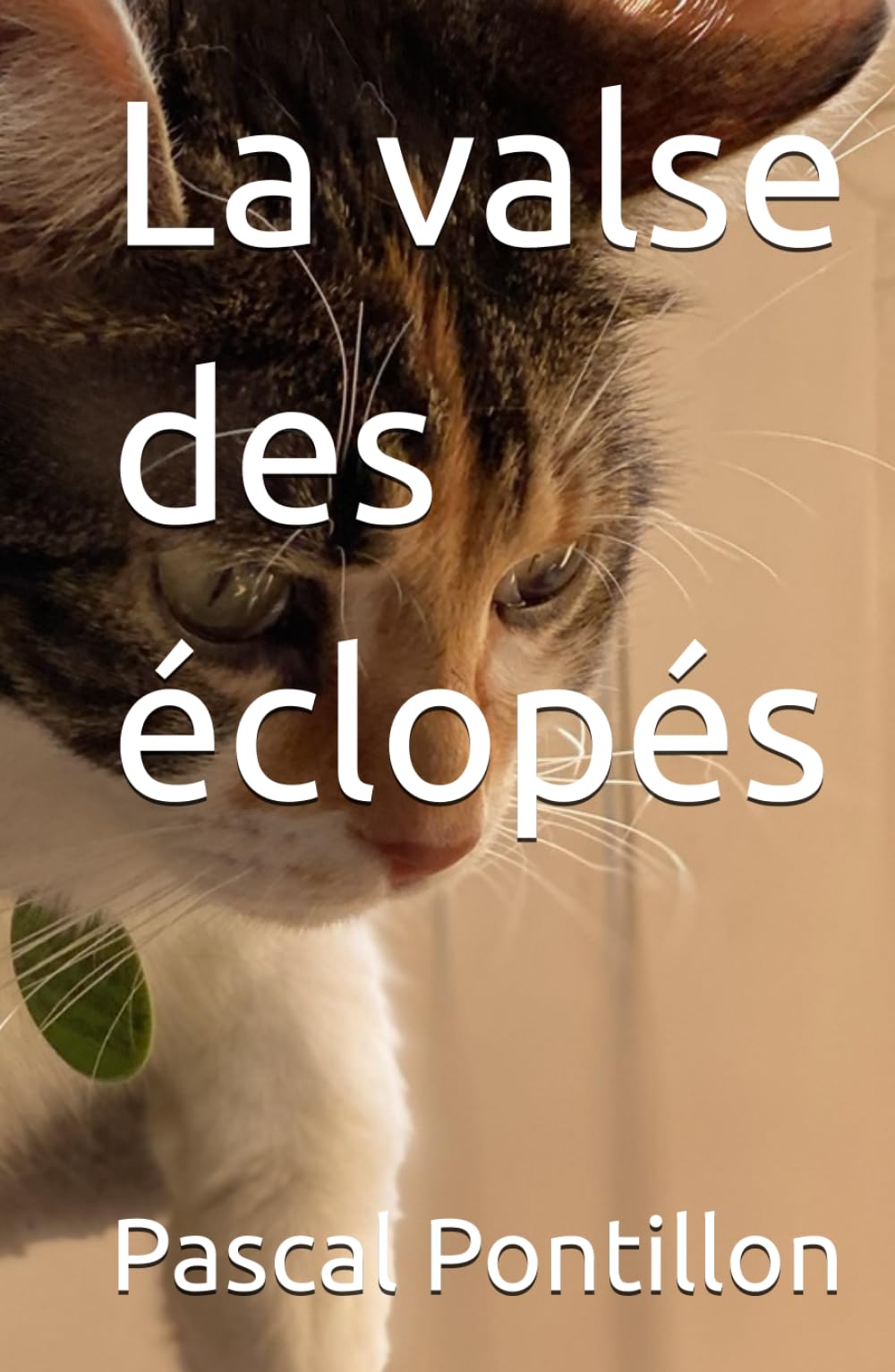 La valse des éclopés Partnership & Love