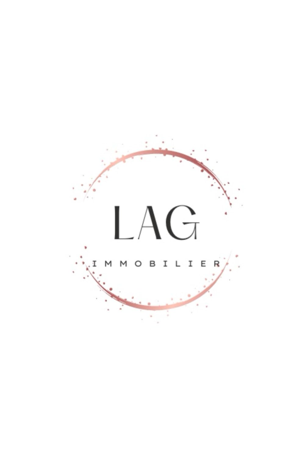 La stratègie immobilière pour les CSP+: La drôle histoire d’un cadre moyen qui a réussi son premier investissement immobilier book