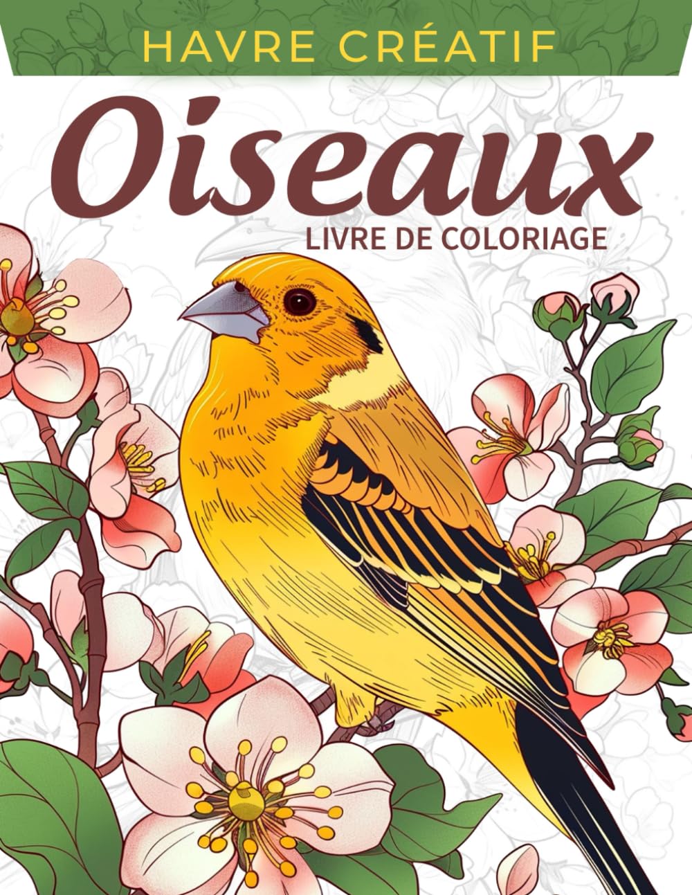 Havre Créatif Oiseaux Livre de Coloriage: Coloriage D'Oiseaux, Dessins Exquis Célébrant Les Beautés À Plumes De La Nature book