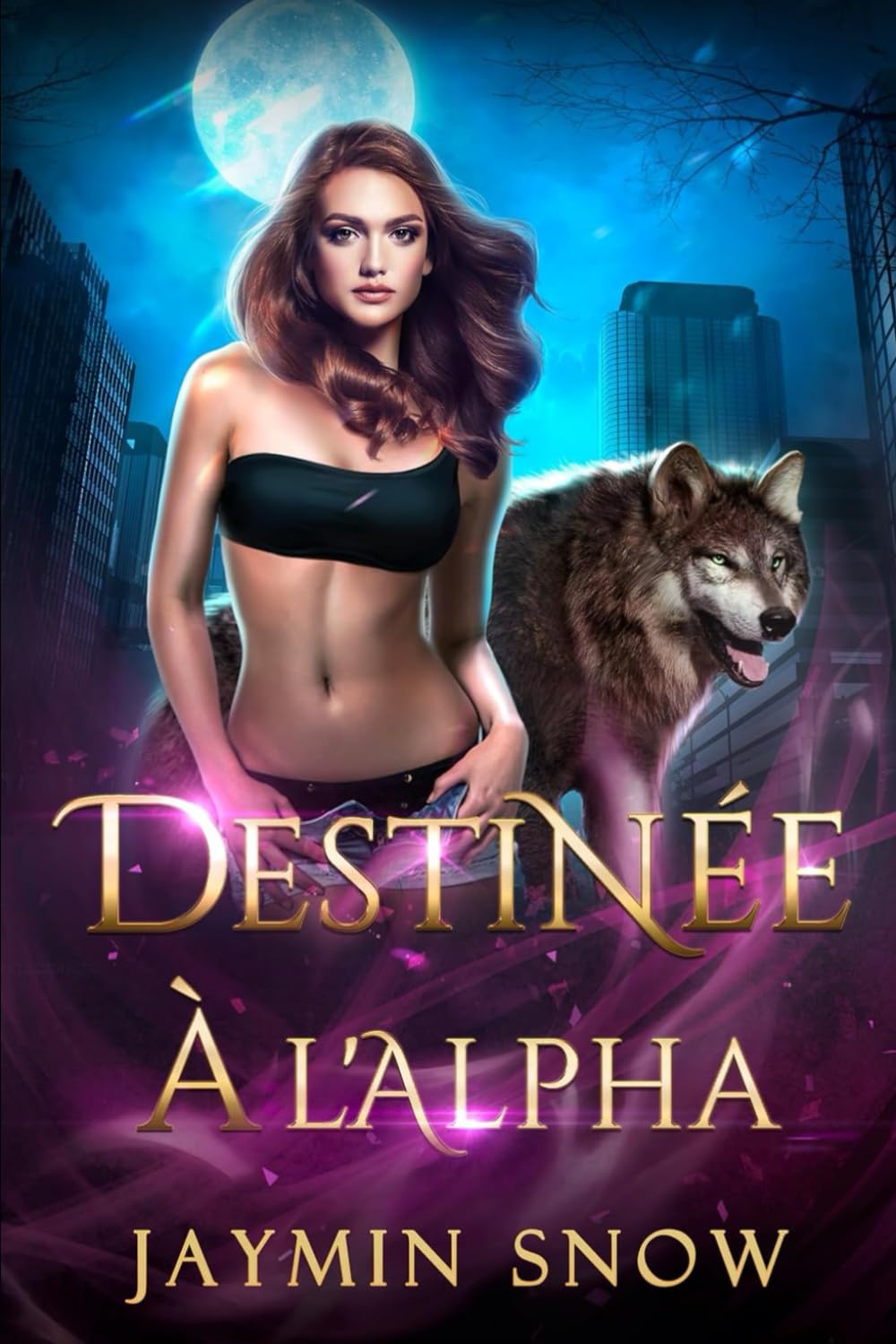 Destinée à l'Alpha: Une romance de métamorphe et de compagne rejetée book