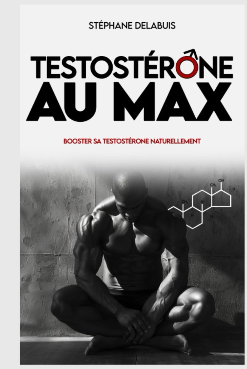 Testostérone au max: Booster sa testostérone naturellement, retrouver de l'énergie, gagner en muscle et reprenez le contrôle de votre masculinité. book