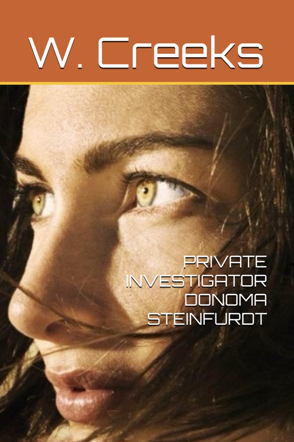 PRIVATE INVESTIGATOR DONOMA STEINFURDT (DONOMA STEINFURDT INVESTIGATES) Suspense & Thrillers
