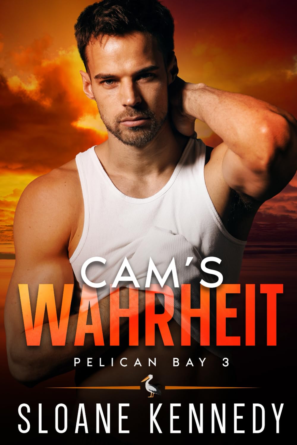 Cams Wahrheit: The Truth Within (Pelican Bay, Band 3) LGBTQ+