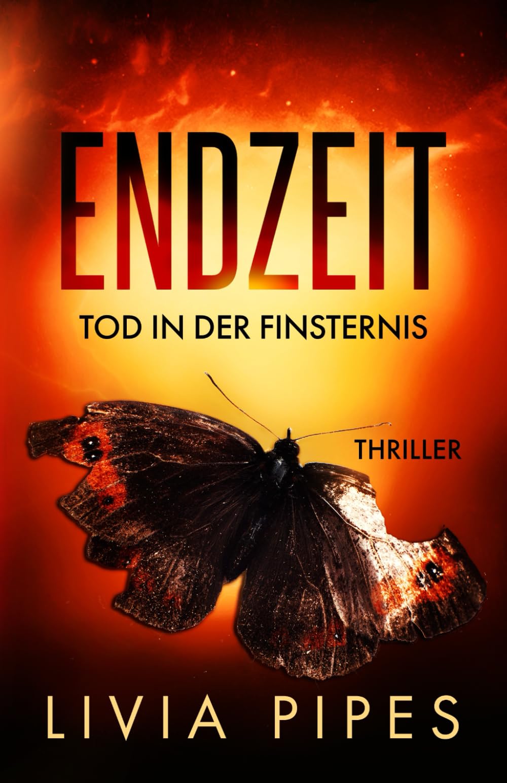Endzeit – Tod in der Finsternis: Survival-Thriller (Endzeit-Visionen, Band 2) Action & Adventure
