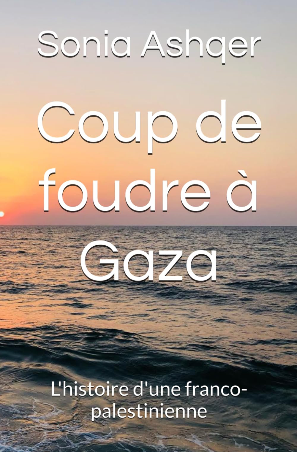 Coup de foudre à Gaza: L'histoire d'une franco- palestinienne book