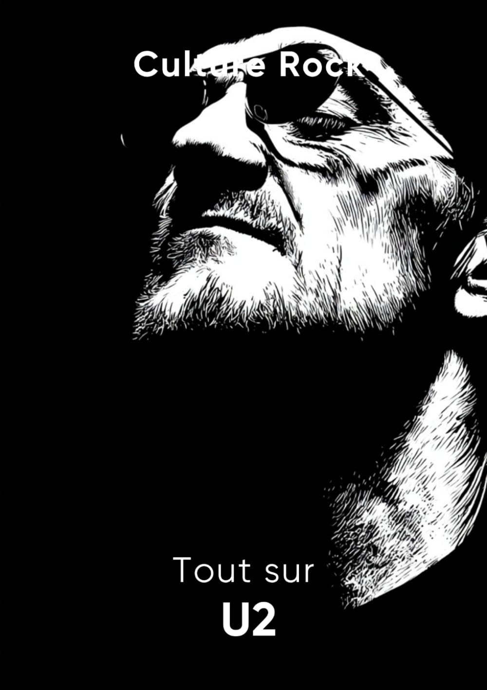 Tout sur U2 (Culture Rock) Pop culture