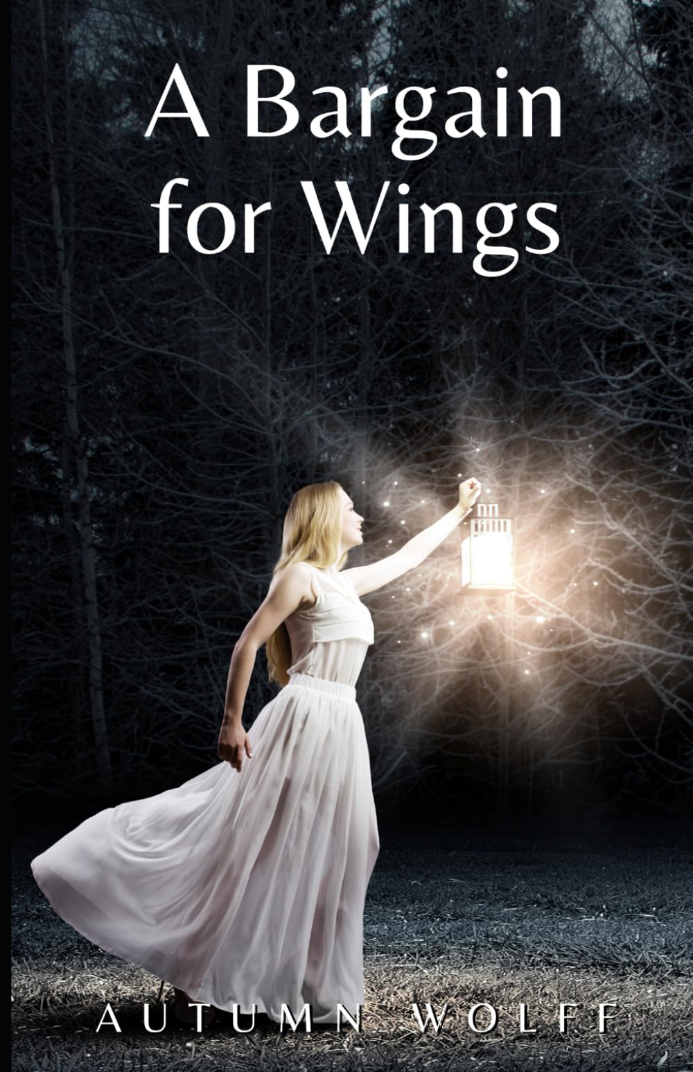 A Bargain for Wings: A Lesbian Romance in the Palace (Raven Court Chronicles) book