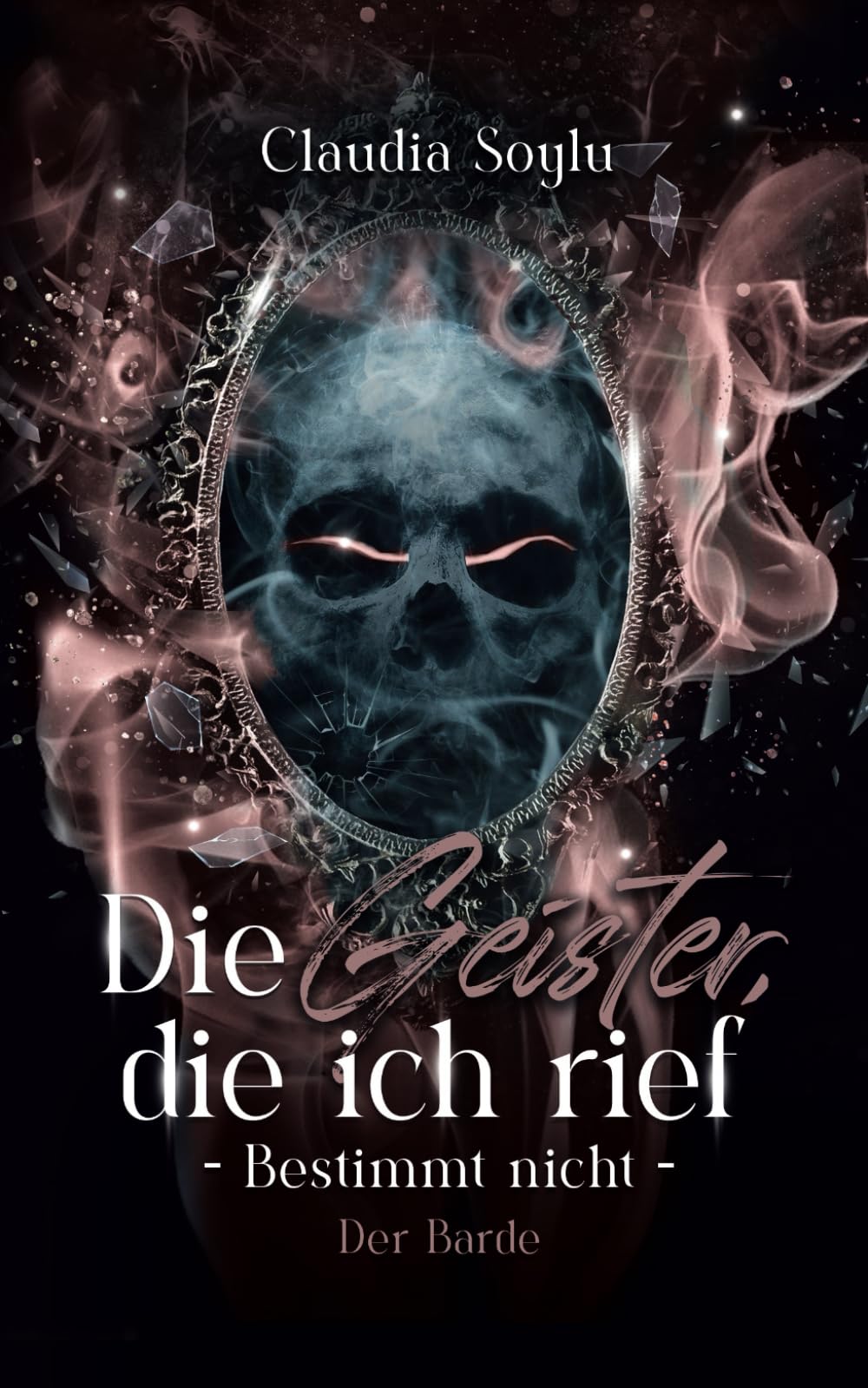 Der Barde: Die Geister, die ich rief? Bestimmt nicht! (Band 7) Fantasy & Sci-Fi