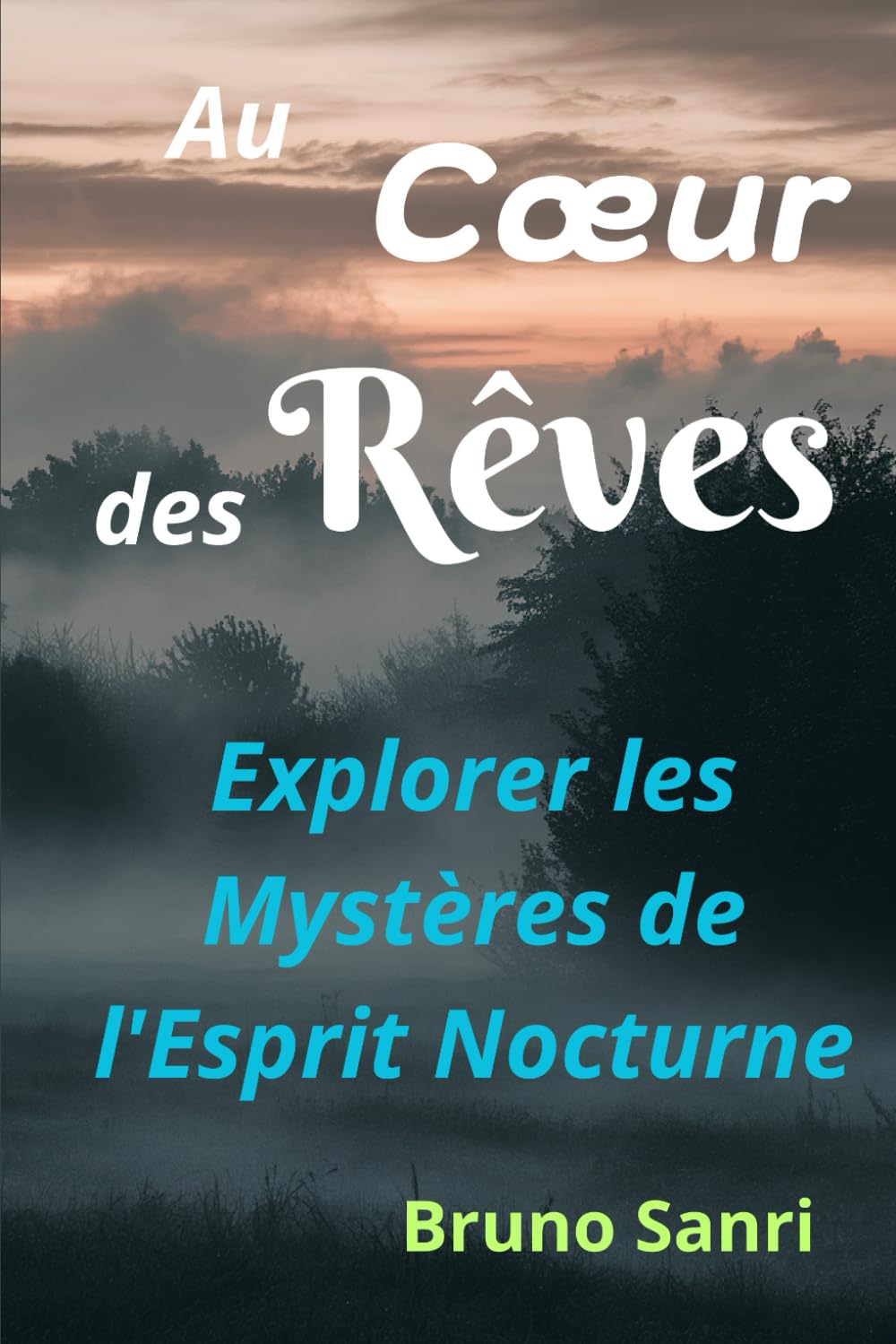Au Coeur des Rêves: Explorer les Mystères de l'Esprit Nocturne book