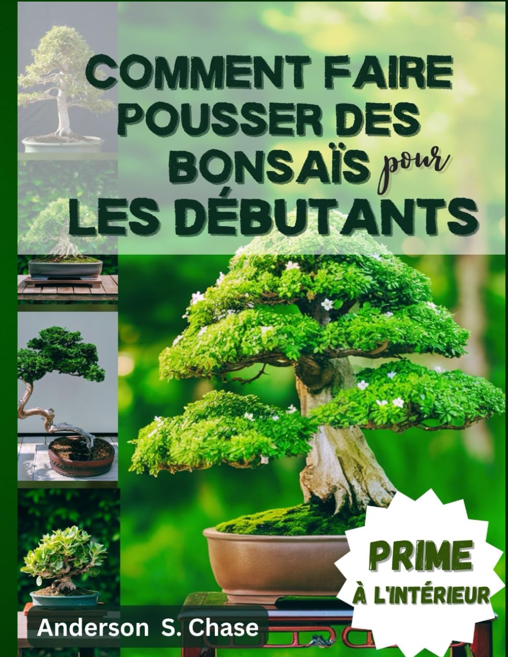 Comment faire pousser des bonsaïs pour les débutants: Guide complet sur la façon de cultiver, sélectionner et entretenir facilement un bonsaï. book