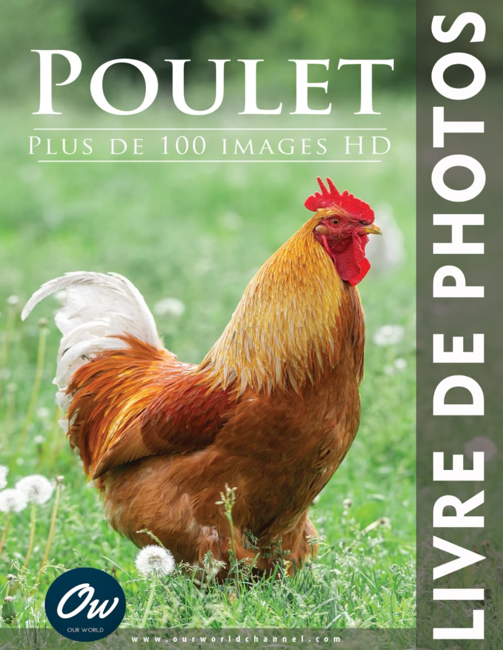 Poulet: Livre de Photos : Plus de 100 images HD book