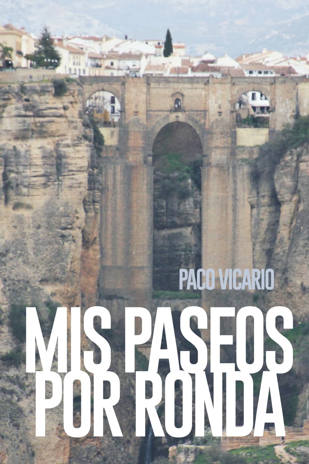 MIS PASEOS POR RONDA: CUADERNO DE VIAJE SOBRE RONDA book