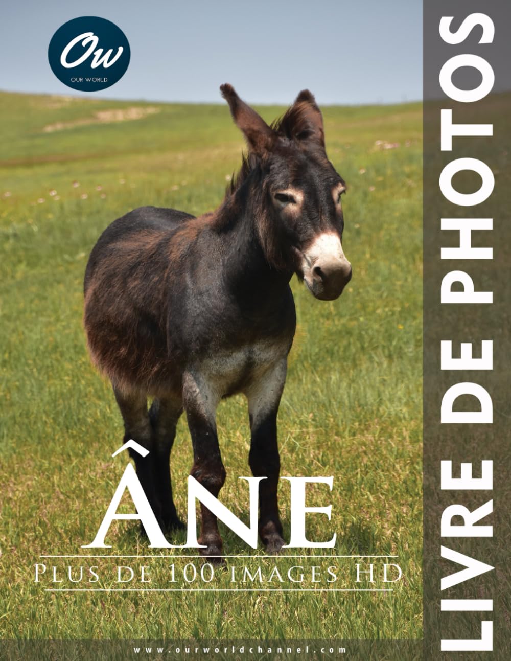 Âne: Livre de Photos book