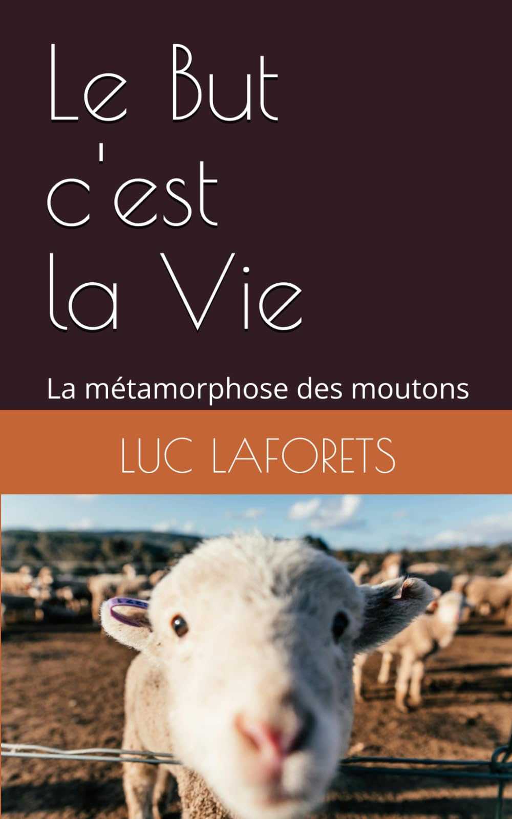 Le But c'est la Vie: La métamorphose des moutons Social Sciences