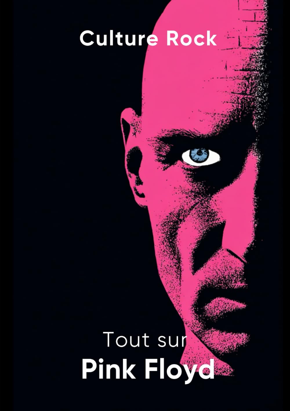 Tout sur Pink Floyd book