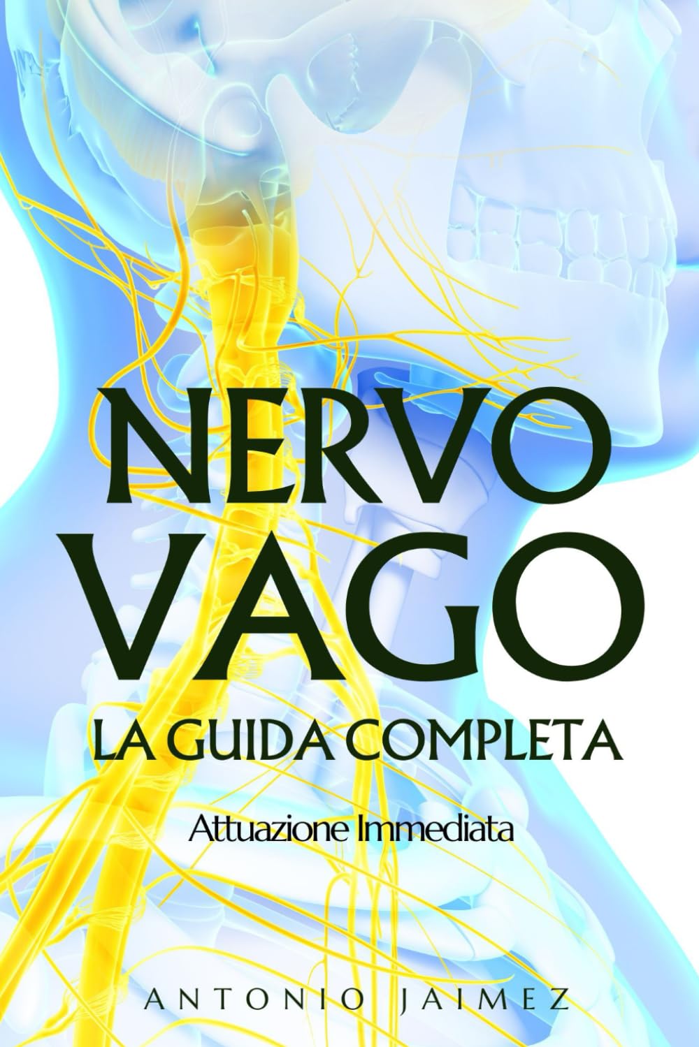 Nervo Vago, La Guida Completa: Attuazione Immediata book